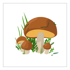 Boletus mushrooms of different sizes in composition, autumn colors, for cards or invitations, stickers