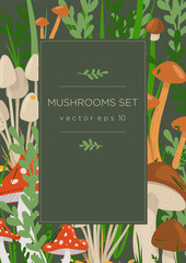 Forest illustration for a card or invitation. Mushrooms and herbs autumn colors