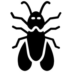 Cicada 