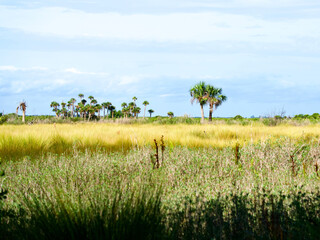Blackpoint Wildlife Drive