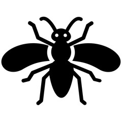 Honey bee