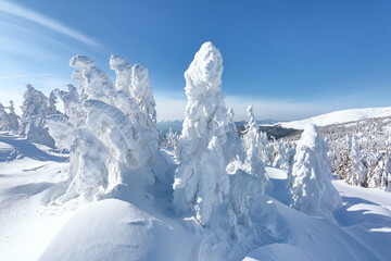 Winter landscape. Christmas wonderland. Meadow covered with frost trees in the snowdrifts. Forest. High mountaint. Snowy wallpaper background.