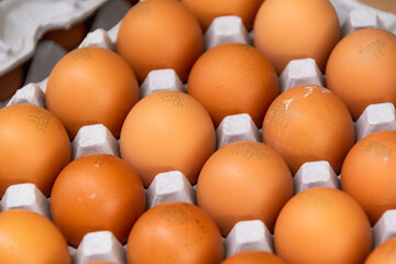 並べられた卵