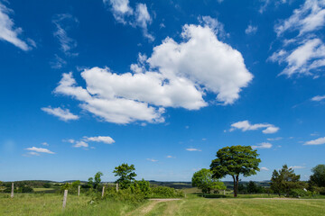 Obraz premium Eifellandschaft im Sommer