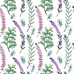 Winter plants, branches, flowers. Hand drawn winter plants seamless pattern with thuja, juniper, fir branch, heather. Can be used as print, textile, fabric, wrapping paper, packaging design and so on.