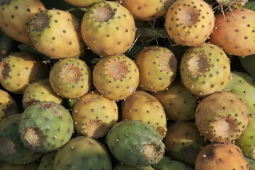 edible cacti, a local food in turkey