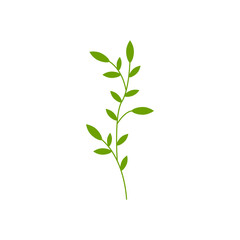 Green Leaf branch design illustration
