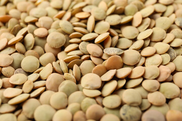 Uncooked legumes on whole background, close up