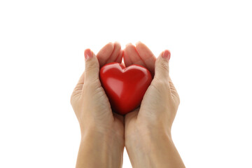 Female hands holding heart, isolated on white background