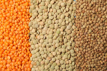 Different types of uncooked legumes on whole background