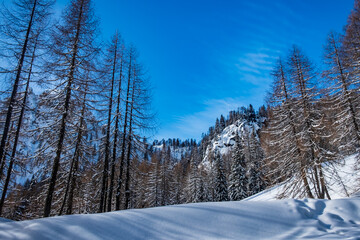winter day in the alps of Friuli Venezia-Giulia