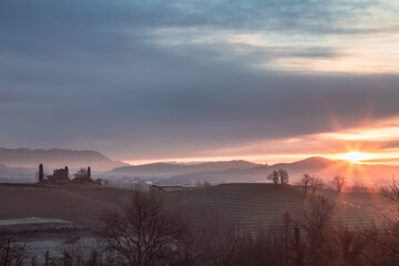 Cold misty morning in the vineyards of Italy