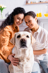 Happy hispanic lesbian women looking at labrador in kitchen on blurred background