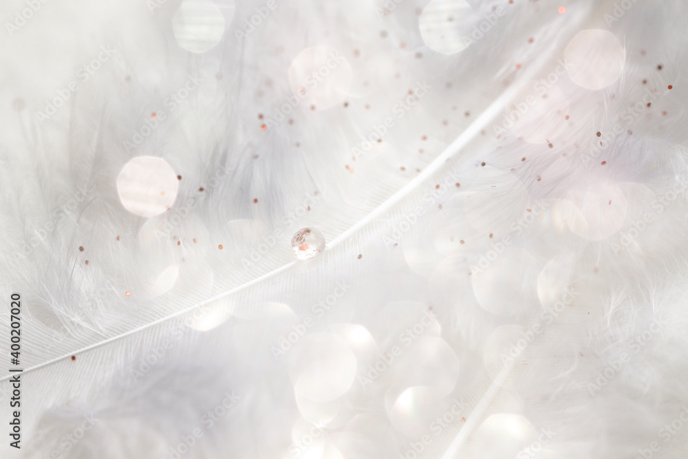 Wall mural close up of a feather with water drops and bokeh as background