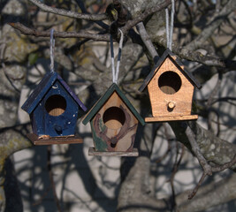 Small wooden house to hang the branches from the trees