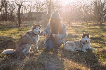 young redhead woman playing with two cute and fluffy siberian husky dogs outdoor in the park during sunset