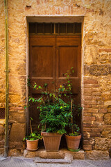 Fototapeta na wymiar A door blocked by plants in the historic medieval village of San Quirico D'Orcia, Siena Province, Tuscany, Italy 