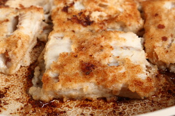 Frying Fish Fillet Block, Alaska Pollock.