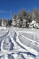 The recreation area in winter, Sainte-Apolline