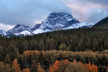 Naklejka premium autumn in yosemite