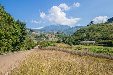 Driving, Swerving, Thailand, Mae Hong Son Province, Summer