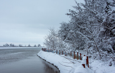 Winter walk into forest 