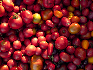 Background with ripe red tomatoes..