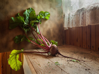 Young,fresh beets with tops on old wooden background.Vintage style.