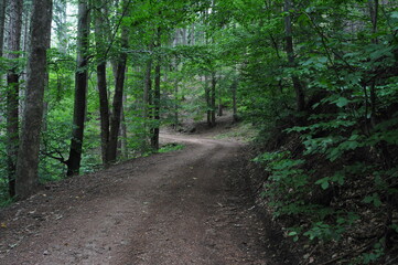 Góry Wałbrzyskie, Poland
