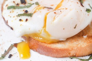 poached egg on toasts with yolk stains close-up