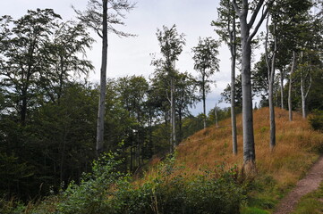 Góry Wałbrzyskie, Poland