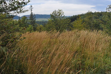 Góry Wałbrzyskie, Poland