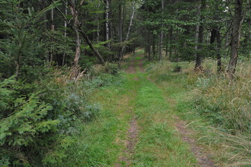Góry Wałbrzyskie, Poland