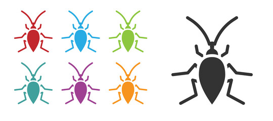 Black Cockroach icon isolated on white background. Set icons colorful. Vector.