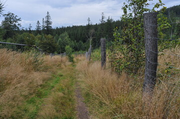 Góry Wałbrzyskie, Poland