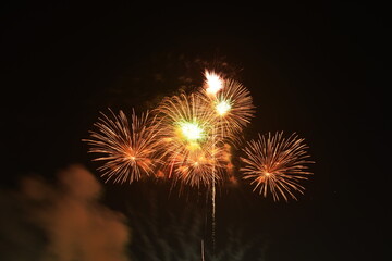 fireworks explosive on dark sky in night