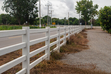 White fence in the country house corn garden