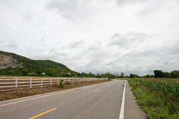 A country road with a gray sky in a corn field