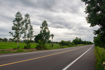 Naklejka premium A country road with a gray sky in a corn field