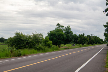 A country road with a gray sky in a corn field