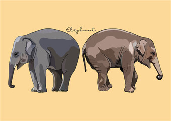 Vector Illustration of cute Elephant