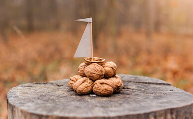 Small boat made from nutshell stands on walnuts.
Kleines Boot aus Nussschale steht auf Walnüssen.
