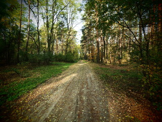 Obraz premium OLYMPUS DIGITAL CAMERA