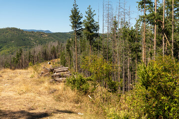 Momchil fortress Bulgaria