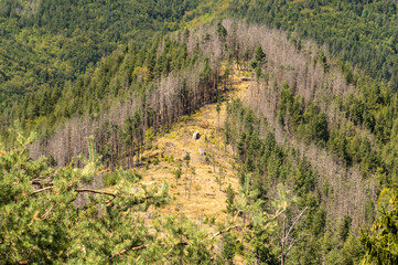 Momchil fortress Bulgaria