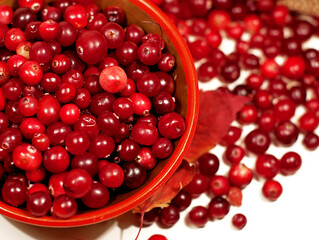 Fresh red forest cranberry in a round bowl. Autumn harvest of wild berries