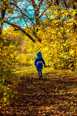 Obraz premium autumn, park, trail, child, girl, yellow, blue, trees