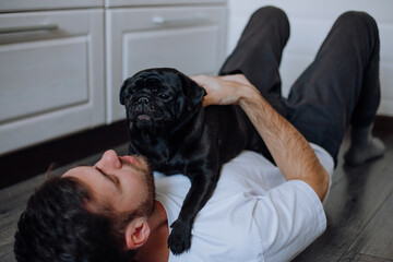 Dog black pug, lying on a guy, playing