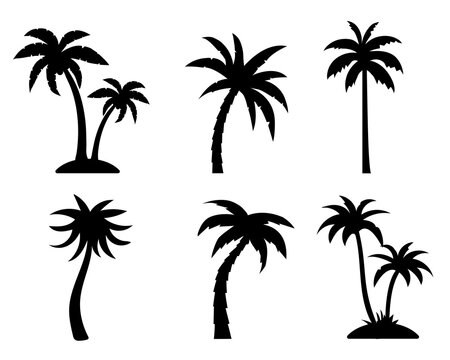 Tropical palm trees black silhouette collection. Summer vacation concept. Vector isolated on white