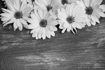 Flowers over painted wooden table. Flowers background for text. Floral background, flower border. Blossom flowers.
